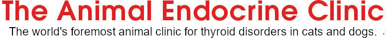 The Animal Endocrine Clinic: The world's foremost animal clinic for thyroid disorders in cats and dogs.